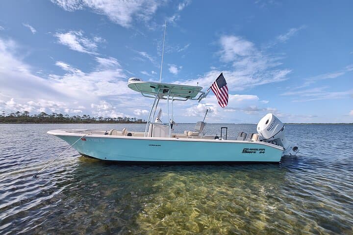 סיור פרטי לצפייה בדולפינים במשך שעתיים בחוף פנמה סיטי