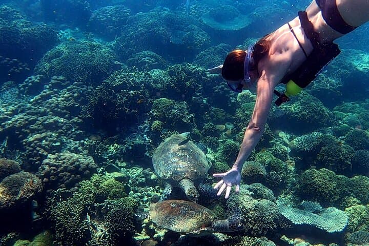 טיול יום שלם פרטי בלעדי לשמורת טניקלי הימית