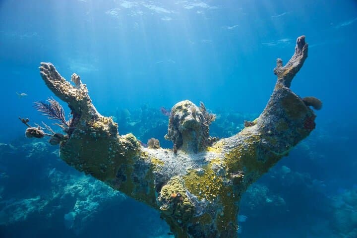 סיור צלילה - ביקור בשתי שוניות רדודות בפארק המדינה ג'ון פנקמפ