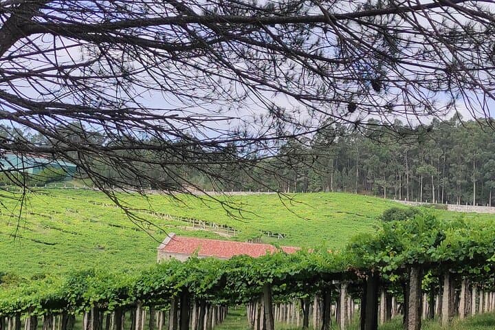 טיול חופי פרטי ריאס בייקאס
