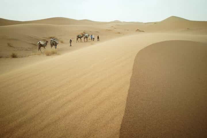 טור הרפתקאות של 6 ימים במדבר מרוקו עם גמלים