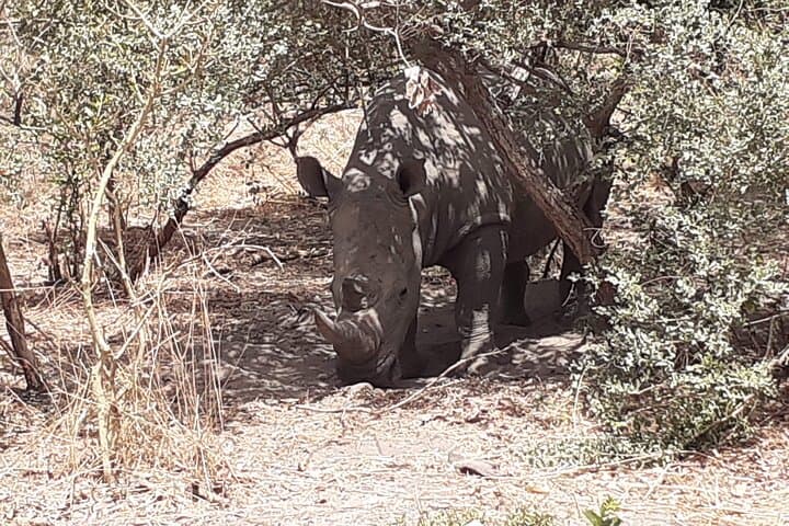 פארק חיות הבר פאתלה