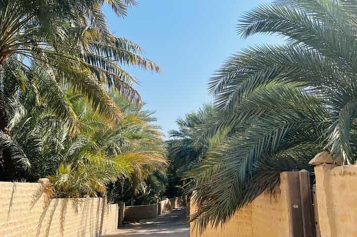 מאבו דאבי מלונות: אל עין יום שלם פרטי עם רכב ונהג.