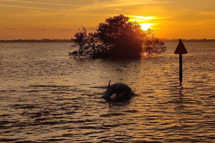 Cocoa Beach Sunset Tour