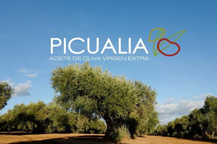 Picualia, olive oil mill tour & EVOO tasting