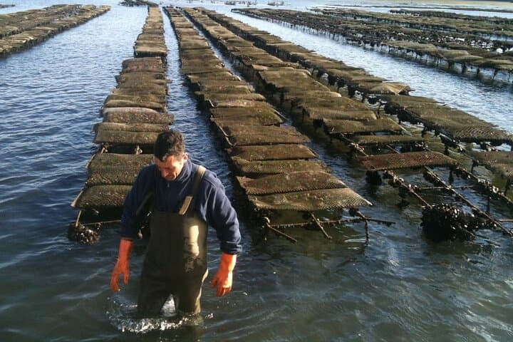 4 עצירות | 3 איים ופרק הטבע ריה פורמוסה - מפארו