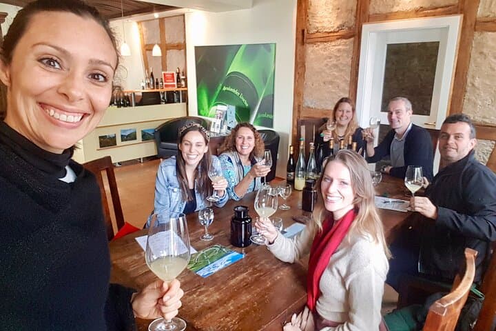 סיור כרמים קבוצתי קטן ברייכנגאו עם טירות ואבָּיּוֹת.