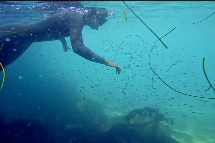 סיור קיאק ושנירקל של לה ג'ולה
