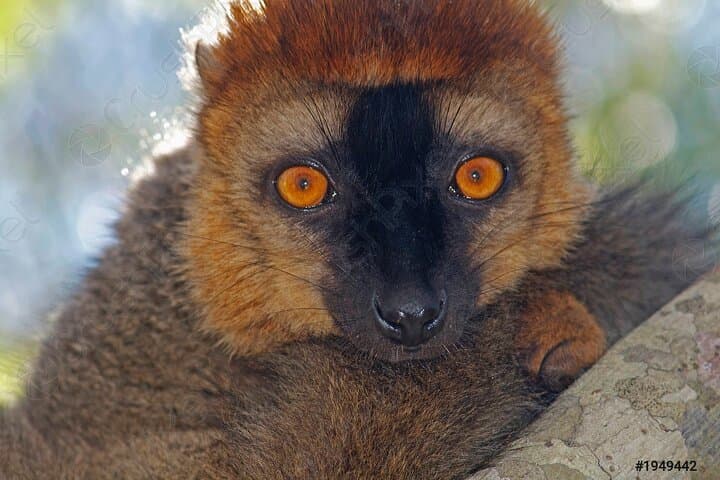 סיור מודרך לשמורת הטבע לוקובה