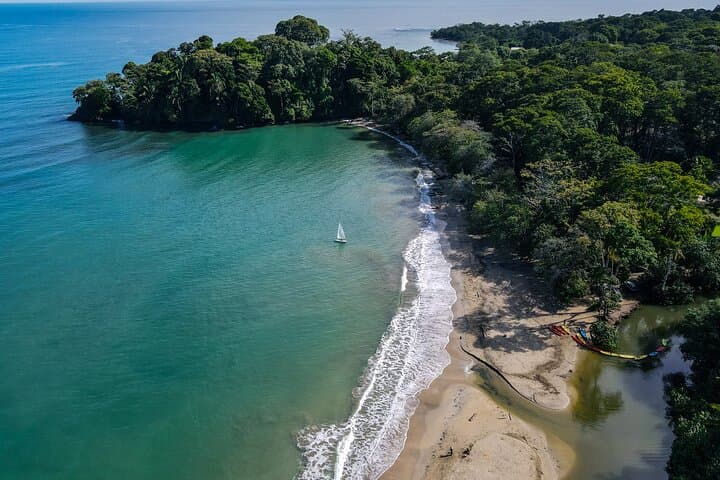 The Sloth and Kayak Tour - Ethical wildlife encounters