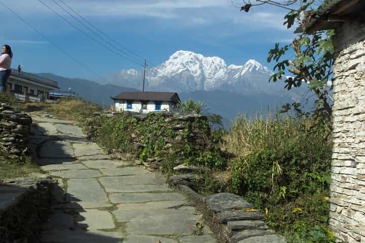 Hiking Adventure from Hemjaphedi to Dhampus