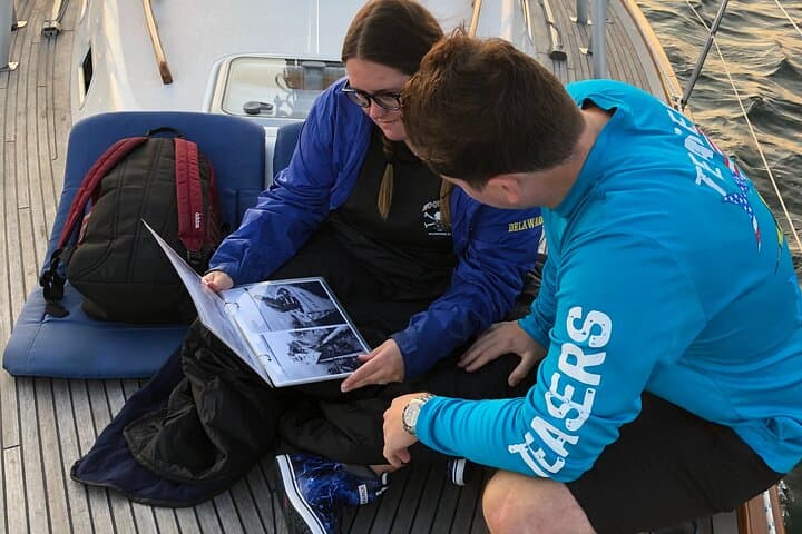 גלה את קסמי החוף של מיין: שיט נופי חצי יום