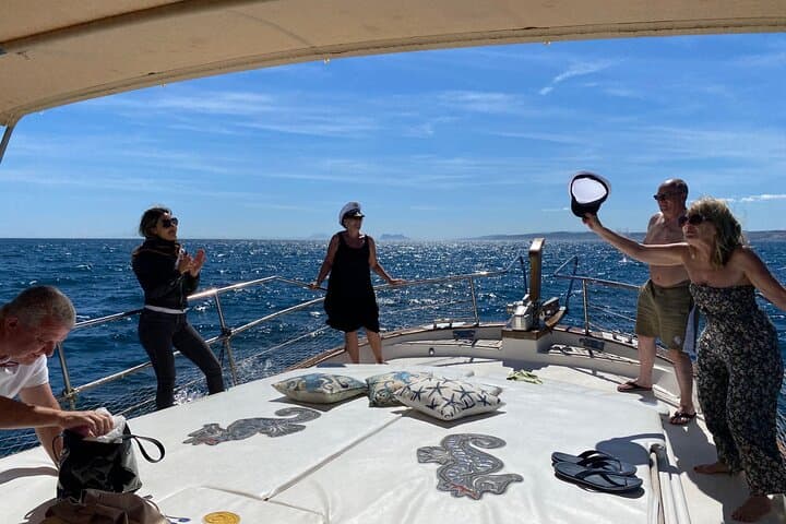 2-Hour Excursion in Search of Dolphins/ Includes Drink and Snacks