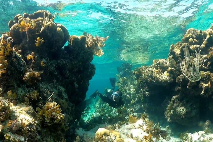 טיול יום כולל הכל מנאסאו לאנדרוס, הבהמאס