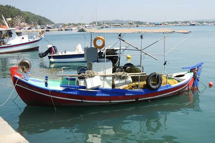 Small Group Tour to Olympia, Honey Farm & Local Market Tasting