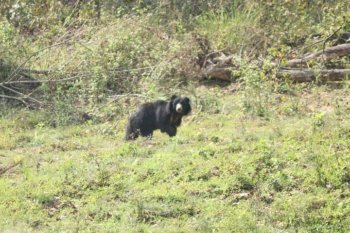Adventure Day Walk(8-10h.) inside Chitwan National Park.