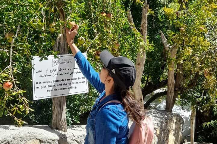 Exclusive 2-Day Jebel Akhdar Overnight Escape