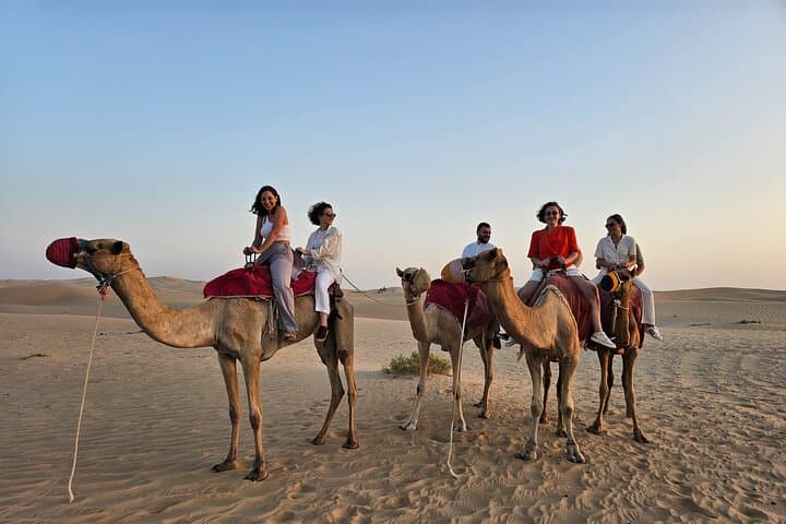 Desert Safari Abu Dhabi With Live Shows & VIP Dining Area