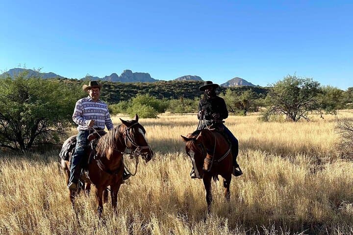 Guided 90 Min Horseback Ride Catalina State Park Coronado Forest