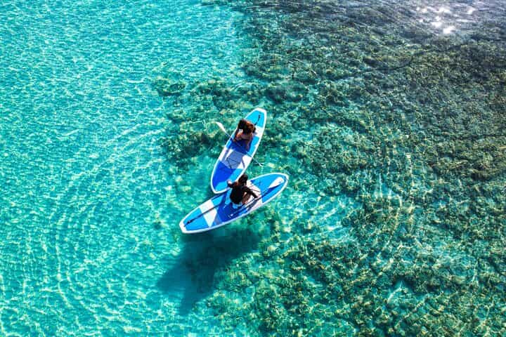 שתי פעילויות במיאקו בחצי יום סאפ ושנורקלינג עם צבי ים