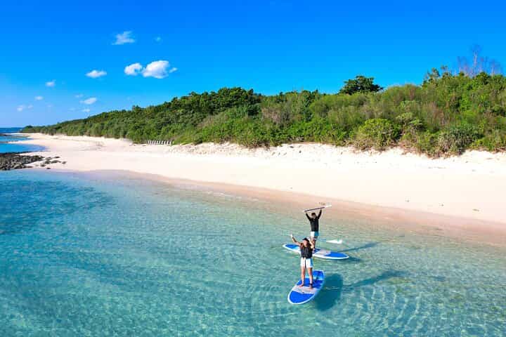 שתי פעילויות במיאקו בחצי יום סאפ ושנורקלינג עם צבי ים