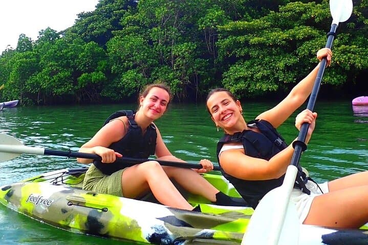 Ishigaki Mangrove SUP or Canoe + Blue Cave Snorkeling