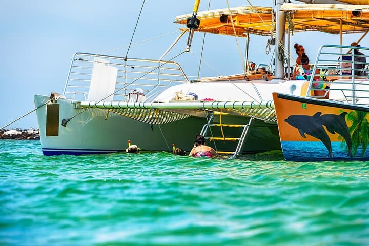 Snorkel & Dolphin Sightseeing Tour Aboard the Footloose