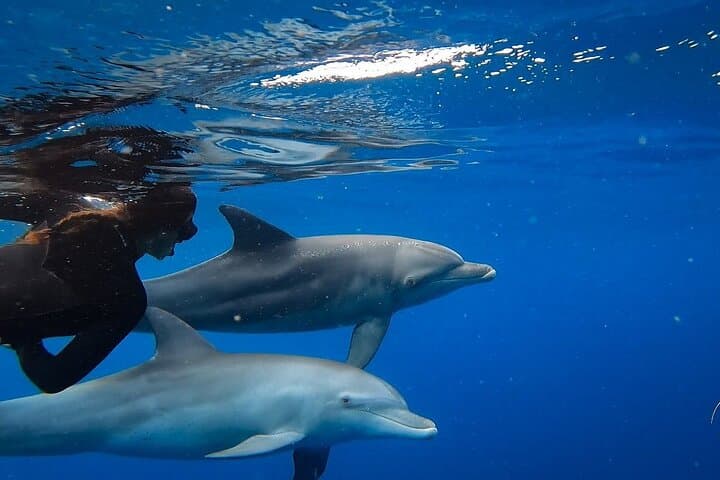 Day Trip -Ponta do Ouro: Dolphins, Whales, Snorkeling, Dive &Surf