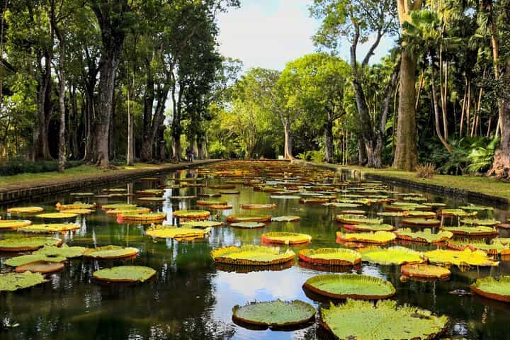 קאפ לקפיטל | תרבות, אוכל, היסטוריה, קניות