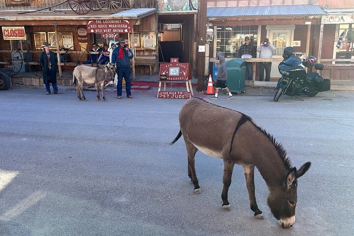Oatman Mining Camp & Burros: Historic Route 66 Tour from Laughlin