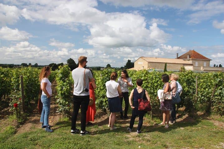 Saint-Emilion Afternoon Wine Tour - 2 Wineries & delicacies
