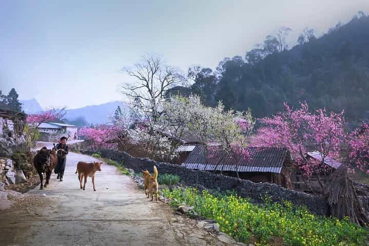 טיול פרטי של 4 ימים בלולאת האג'יאנג כולל הכל עם רכב