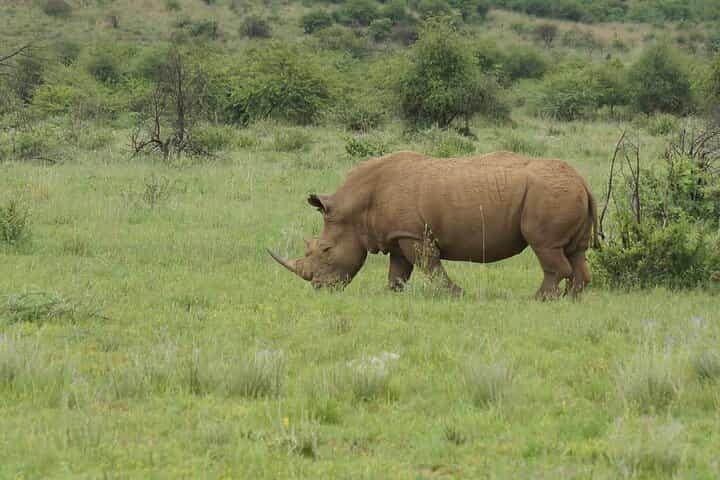 2 Days Mid Range Private Safari in Tarangire and Ngorongoro