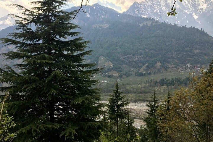 טיול מפל יוגיני ממנאלי