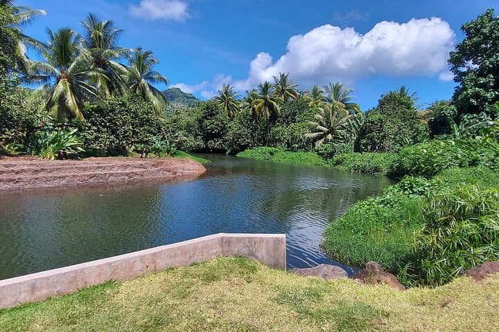 יום חצי "אוצרות ראיatea" בסירה - אידיאלי לנוסעי השייט
