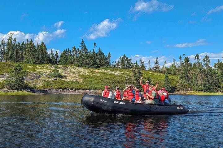 Zodiac Coastal Tour with Naturalist Guide: Lunenburg