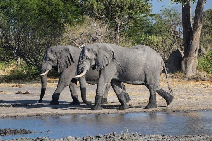 טיול יום מלא במורמי ממאונג