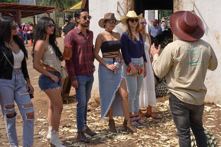 Full Day Tour to Tequila and Amatitan with Fun and Culture