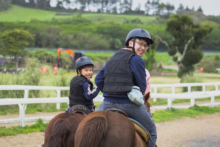 סיור פרטי עם רכב שכור באי ג'ג'ו, כולל אתרים פופולריים למשך 5/9 שעות