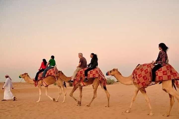 Desert Safari with BBQ Dinner, Camel Ride, Sand Board & Live Show