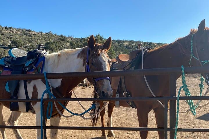 רכיבת סוסים ליד גדה המערבית של הקניון גרנד