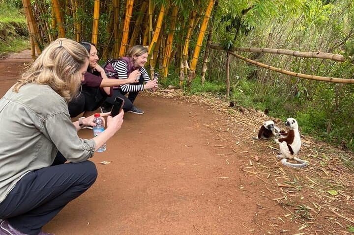 אנטננריבו: פארק הלימורים וסיור בעיר