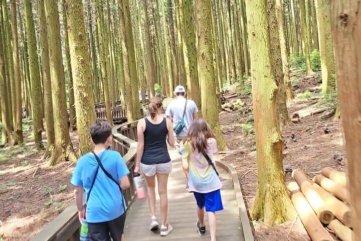 טיול חצי יום או יום עבור לקוחות קרוז המגיעים לנמל העיר ג'יג'ו