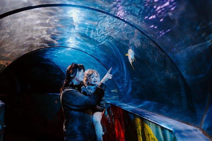 כרטיס כניסה לSEA LIFE וויימות