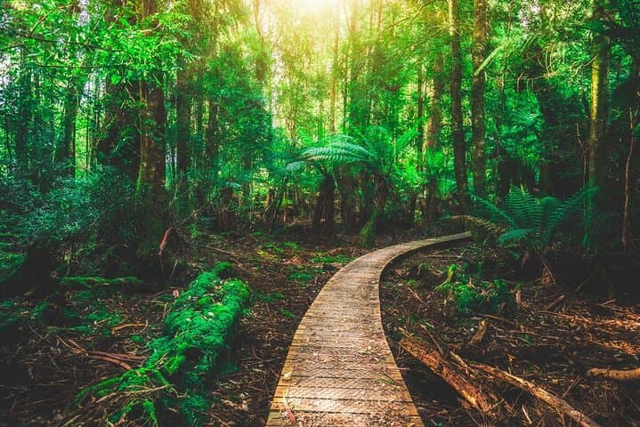 סיור פרטי בציציקמה - יום שלם