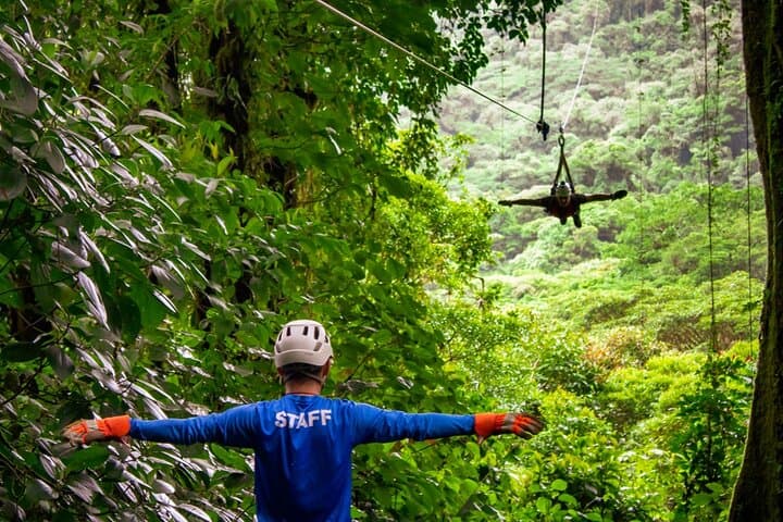 סיור העצים של פארק סלוותורה