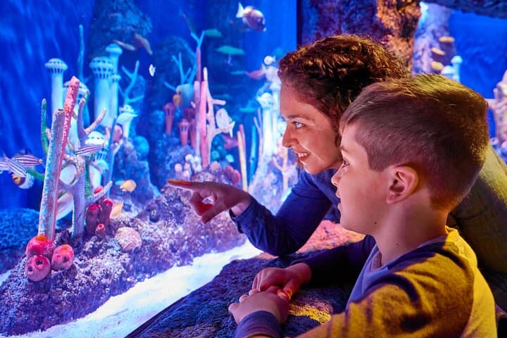 SEA LIFE New Jersey Admission Tickets at American Dream