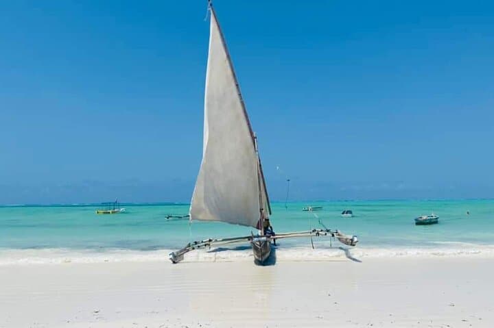 Jozani, Salaam Cave and Mtende Beach