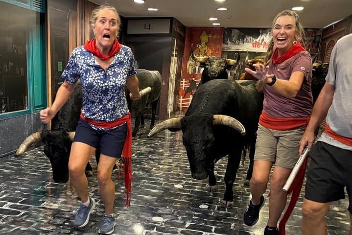 Pamplona Essential : The Ultimate Walking Tour