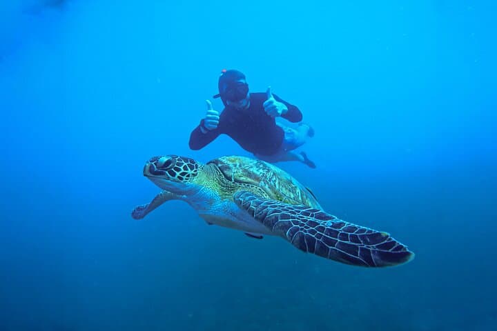 טיול שנורקלינג 5 איים סביב קו טאו וקו נאנג יואן